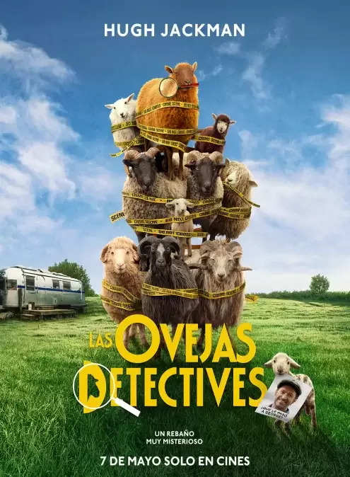 Las ovejas detectives